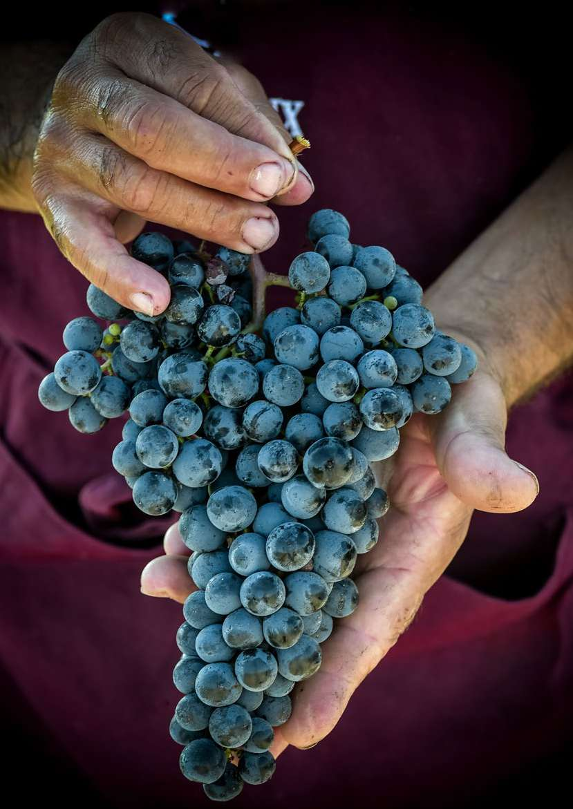 Aceto Balsamico Tradizionale Extravecchio di Modena – 30 anni (100 ml)